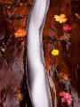 Peter Shinyeda Photography  The Chute, Subway, Glacier National Park : Utah, Zion_NP, Subway, The_Chute