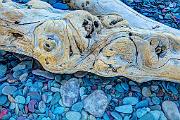 Peter Shinyeda Photography  Driftwood, St. Mary's Lake, Glacier Lake : Montana, Glacier_NP, St._Mary's_Lake