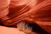 Peter Shinyeda Photography  Lower Antelope Slot Canyon, Page, Arizona : Arizona, Slot Canyons, Antelope_Canyon_Lower