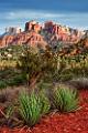 Peter Shinyeda Photography  Catherdral Rock, Sedona, Arizona : Arizona, Sedona, Catherdral_Rock