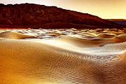 Peter Shinyeda Photography  Mesquite Dunes Sunset, Death Valley National Park, California : California, Death_Valley, Mesquite_Dunes, Sunset