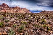 Peter Shinyeda Photography : Nevada, Red_Rock_Canyon