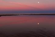 Peter Shinyeda Photography  Moring Calm Reflection, Sea of Cortez, Mexico : Sea_of_Cortez, Sunrise