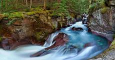 Peter Shinyeda Photography  Avalanche Gorge, Glacier National Park, Montana : Montana, Glacier_NP, Avalanche_Gorge