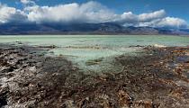 Peter Shinyeda Photography  Badwater Basin "Aqua Lake", Death Valley, California : California, Death_Valley, Badwater