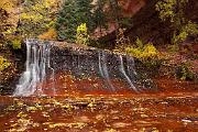 Peter Shinyeda Photography : Utah, Zion_NP, Water_Falls