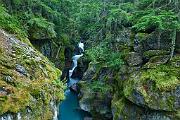 Peter Shinyeda Photography  Avalanche Gorge, Glacier National Park, Montana : Montana, Glacier_NP, Avalanche_Gorge