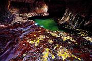 Peter Shinyeda Photography  Subway Pools, Zion National Park, Utah : Utah, Zion_NP, Subway