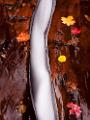 Peter Shinyeda Photography  The Chute, Subway, Glacier National Park : Utah, Zion_NP, Subway, The_Chute