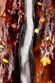 Peter Shinyeda Photography  The Chute, Subway, Glacier National Park : Utah, Zion_NP, Subway, The_Chute
