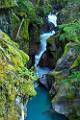Peter Shinyeda Photography  Avalanche Gorge, Glacier National Park, Montana : Montana, Glacier_NP, Avalanche_Gorge