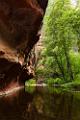 Peter Shinyeda Photography : Arizona, Sedona, West_Fork_Trail