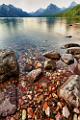 Peter Shinyeda Photography  Lake McDonald, Glacier National Park, Montana : Montana, Glacier_NP, Lake_McDonald