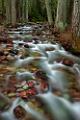 Peter Shinyeda Photography  Running Brook, Glacier National Park, Montana : Montana, Glacier_NP, Brook