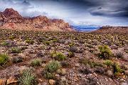 Peter Shinyeda Photography  Redrock Canyon, near LasVagas, Navada : Nevada, Redrock_Canyon