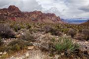 Peter Shinyeda Photography  Redrock Canyon, near LasVagas, Navada : Nevada, Redrock_Canyon