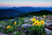Peter Shinyeda Photography  First Morning Light at Shrine Ridge, Colorado : Colorado, Shrine_Ridge, Sunrise