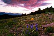 Peter Shinyeda Photography  Sunrise at Shrine Ridge, Colorado : Colorado, Shrine_Ridge, Sunrise