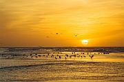 Peter Shinyeda Photography  Sea of Cortez Sunrise, Mexico : Mexico, Sea_of_Cortez, Sunrise