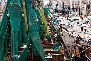Peter Shinyeda Photography  Shrimp Boats, Sea of Cortez, Mexico : Mexico, Sea_of_Cortez, Shrimp_Boats