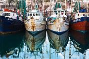 Peter Shinyeda Photography  Shrimp Boats, Sea of Cortez, Mexico : Mexico, Sea_of_Cortez, Shrimp_Boats