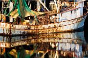 Peter Shinyeda Photography  Shrimp Boats, Sea of Cortez, Mexico : Mexico, Sea_of_Cortez, Shrimp_Boats