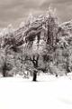 Peter Shinyeda Photography : Arizona, Sedona, West_Fork_Trail