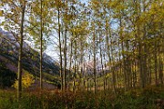 2017 Fall Colors  03  Colorado Fall Colors