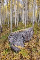 2017 Fall Colors  10  Colorado Fall Colors