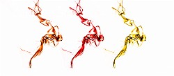 Abstract Fine Art  Abstract Fine Art : Abstract Fine Art