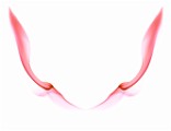 Abstract Fine Art  Abstract Fine Art : Abstract Fine Art