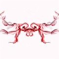 Abstract Fine Art  Abstract Fine Art : Abstract Fine Art