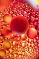 Abstract Fine Art  Abstract Fine Art : Abstract Fine Art