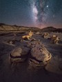 Night Skies  Bisti Badlands, NM : Milky Way, Night Skies