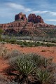 Arizona Workshop  Arizona : Arizona Landscapes