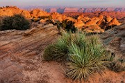 Arizona Workshop Aug 2021  Page AZ : p