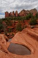 Arizona Workshop Aug 2021  Sedona AZ : Sedona AZ