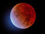 Beaver Moon lunar eclipse 2021  Beaver Moon lunar eclipse 2021 : Beaver Moon lunar eclipse 2021