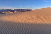Mesquite Sand Dunes, Death Valley  Mesquite Sand Dunes, Death Valley