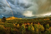 Colorado Fall Colors