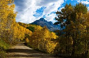 Colorado Fall Colors  05