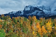 Colorado Fall Colors  07