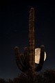 Desert Moon Series  Full Moon, Beaver Moon, Soutwest Desert Moon : Full Moon, Beaver Moon, Soutwest Desert Moon
