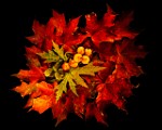 Fall Colors 2025  Fall Leaves, Fall Colors : Fall Leaves, Fall Colors