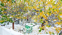 First Snow  First Snow : First Snow