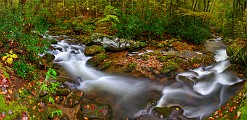 Great Smoky Mountains  Great Smoky Mountains : Great Smoky Mountains