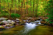 Great Smoky Mountains  Great Smoky Mountains : Great Smoky Mountains