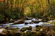 Great Smoky Mountains  Great Smoky Mountains : Great Smoky Mountains