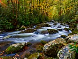 Great Smoky Mountains  Great Smoky Mountains : Great Smoky Mountains