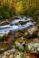 Great Smoky Mountains  Great Smoky Mountains : Great Smoky Mountains